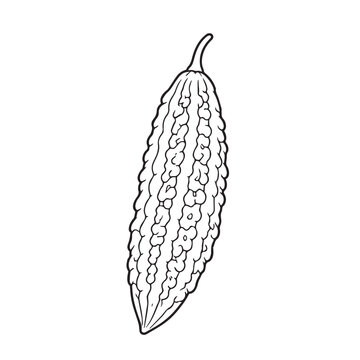 Cute vector art of a bitter melon vegetable with a friendly face, simple outlines, minimal detail, coloring book style, playful and fun design for kids activities.