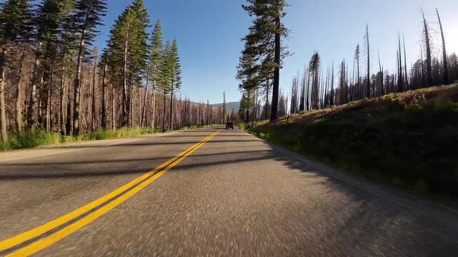Lake Tahoe Echo Lake to Phillips Highway 05 Front View Driving Plates of 50 West California USA Ultra Wide