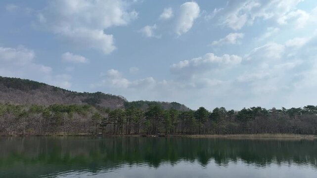 Aerial view of pine forest and Menuma Pond shoreline in early spring, Fukushima Japan
