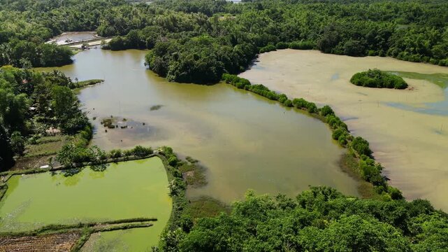 Stunning aerial view of coastal wetlands, shallow water, and dense forest landscape in Buenavista, Guimaras Island, Philippines.