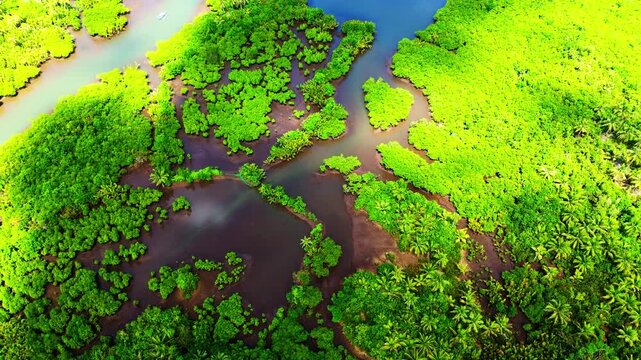 Cinematic aerial panorama of the Maasin River in Siargao with dramatic cloud shadows moving over the palm forest. Beautiful contrast in the tropical landscape of the Philippines