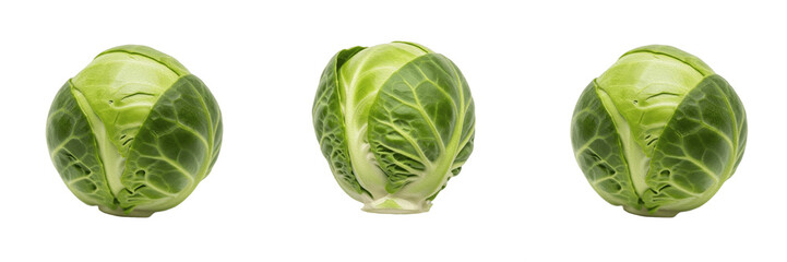 Fototapeta premium Fresh Organic Green Cabbage Head Isolated Whole Raw Vegetable Healthy Cooking Salad Nutrition Food