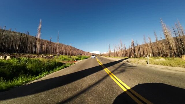Lake Tahoe Echo Lake to Phillips Highway 05 Rear View Driving Plates of 50 West California USA Ultra Wide