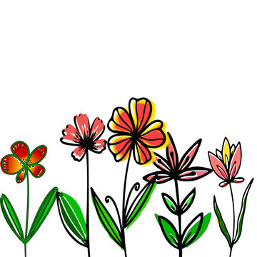 Flower Plant Illustration