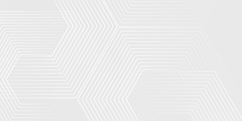 Obraz premium Hexagonal white grey wave light technology texture background. Abstract big data digital concept. modern background. vector eps10.