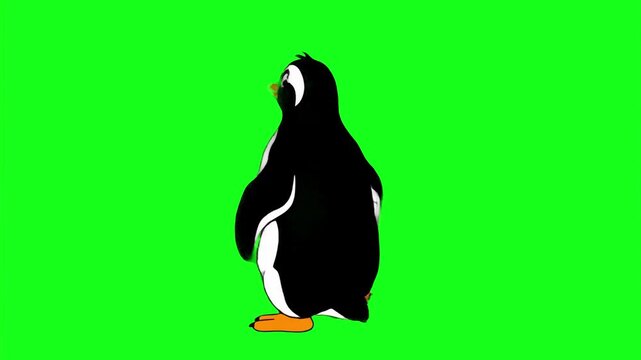 A cheerful 3D animated penguin mascot with a white belly and black feathers performs a funny, energetic dance routine. This pre-keyed moving character asset is perfectly optimized for children's educa