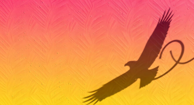 Silhouette of eagle in flight casting shadow on textured pink orange yellow background