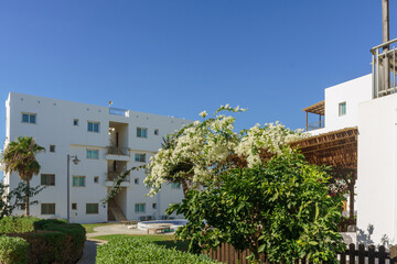 Fototapeta premium A serene morning view of a white building surrounded by lush greenery and blooming flowers in sunlight.