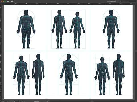Human Body Proportions and Anatomy Diagram Set with Golden Ratio and Geometric Grids for Artistic Study and Ergonomics