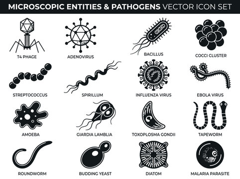 Pathogen and Microscopic Entities Vector Icon Set - Virus, Bacteria, Parasites, and Microorganisms Collection for Science and Medical Design