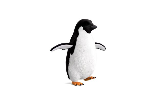 A cheerful 3D penguin character dancing joyfully with a welcoming expression. High-quality 3D render isolated on a clean white background, perfect for commercial or educational video projects.