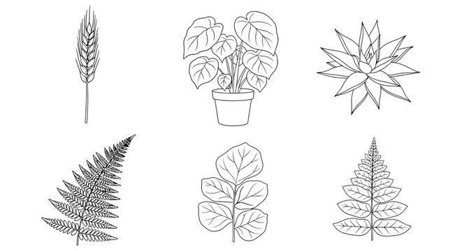 Collection of botanical illustrations: wheat potted plant succulent fern leaves with plant pot, black and whit