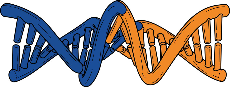 Illustration of a double helix DNA structure, representing genetics, biology, and molecular science concepts