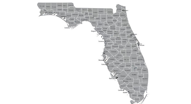 Florida Map Outline with County Borders and City Labels