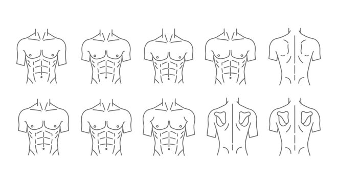 Abs Line Art Different Shapes Male Torso Variations Chart Illustration
