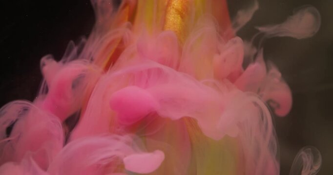 Steam flower. Paint wave. Defocused yellow color plant tulip nature pink vapor fog water floating on abstract creative background.