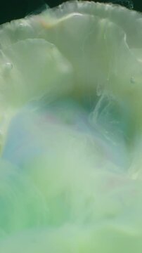 Vertical video. Ink flower. Water petals. Defocused green white blue color liquid plant eustoma splash vapor spreading on abstract art background.