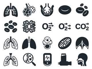Obraz premium Respiratory System and Lung Anatomy Icon Set: Pulmonology Symbols for Gas Exchange, Alveoli, and Oxygen Flow
