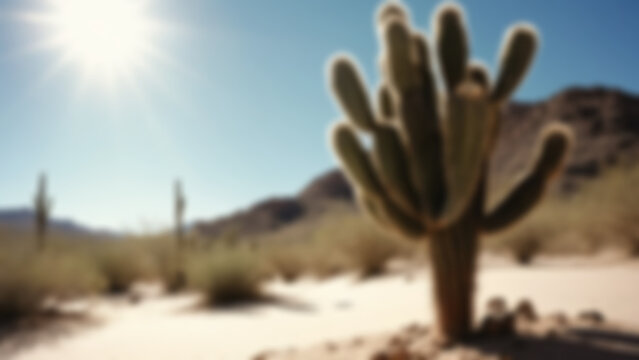 Blurred Sunny Desert Landscape with Cactus and Mountains
