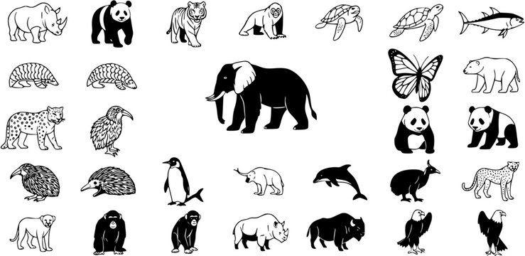 Black and White Line Art Vector Collection of Diverse Animals for Wildlife and Nature Themes