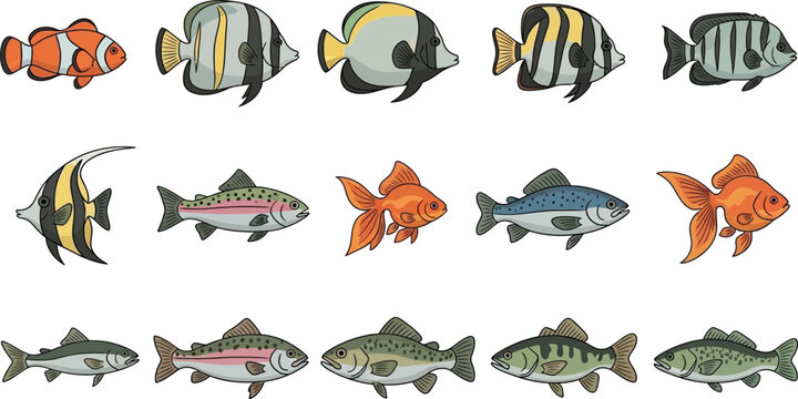 Collection of diverse cartoon fish including tropical and freshwater species tropical fish freshwater fish