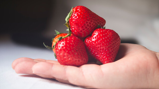 Strawberries  on hand and white background. Healthy food