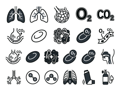 Respiratory System and Gas Exchange Icon Set - Human Lungs, O2 and CO2 Breathing Process, Medical Anatomy Vector Illustrations