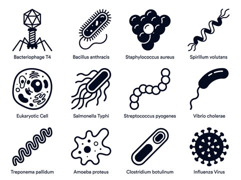 Set of 12 Microorganism Icons including Bacteria, Viruses, and Cells for Scientific and Medical Illustration