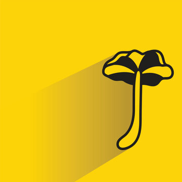mushroom with shadow on yellow background