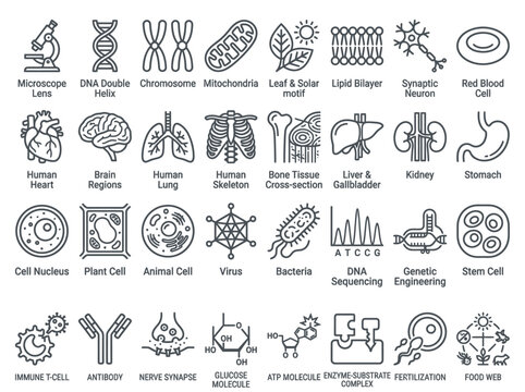 Biology and Science Icon Set: DNA, Human Organs, Cellular Structures, Genetics, and Anatomy Vector Icons for Medical and Educational Design