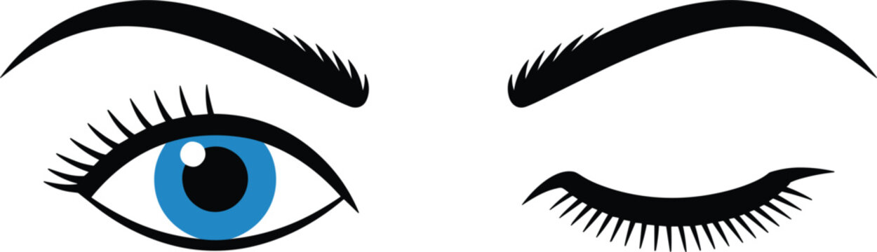 Eye expressions set, open and closed eyes with eyelashes beauty makeup vector illustration