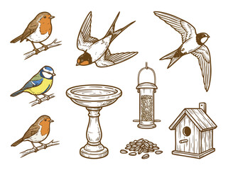 Birds, Birdbath, Birdhouse, and Feeder Illustration. © Doyez Vector