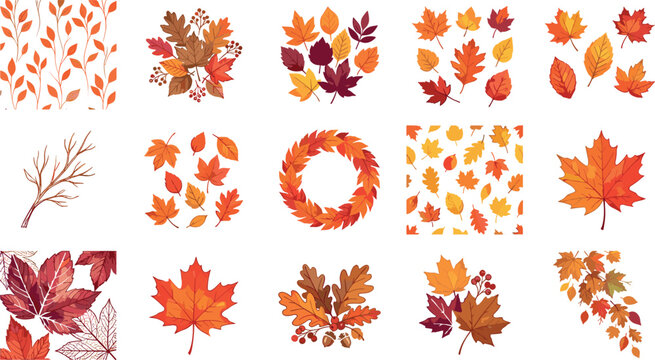 A Large Collection Of Colorful Autumn Leaves Wreaths Seamless Patterns And Seasonal Botanical Icons On White