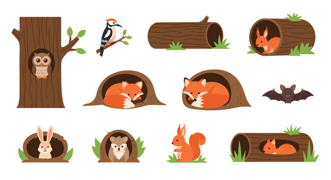 Collection of cute forest animals like foxes, squirrels, and owls in their natural habitats like tree holes and burrows.