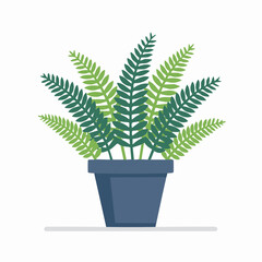 Fototapeta premium Potted Fern Plant Illustration