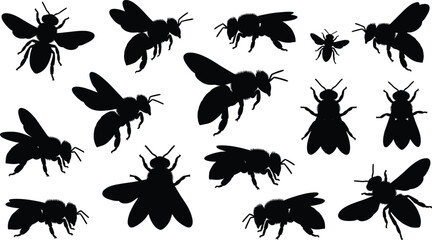 Bee silhouette set, flying honey insect collection, pollinator bug vector design pack illustration elements black © VectoBloom
