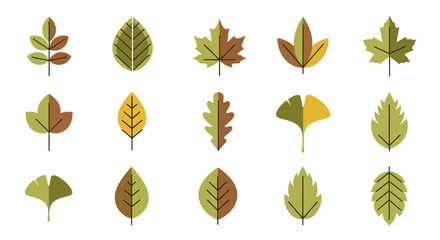 Obraz premium Autumn Leaves Collection: Diverse Fall Foliage Icons in Flat Design