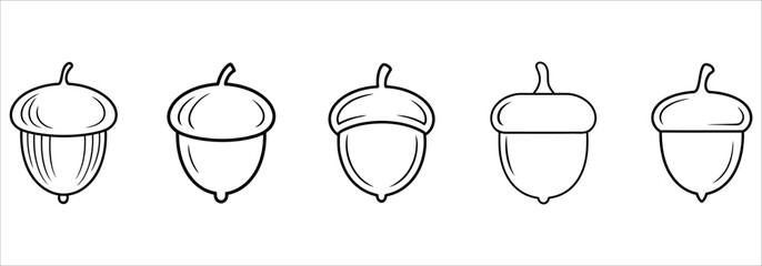 Collection of five hand-drawn acorn illustrations in a simple line art style on white background. © akram