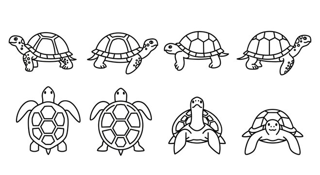 Set of eight cartoon turtle line art icons in various poses.