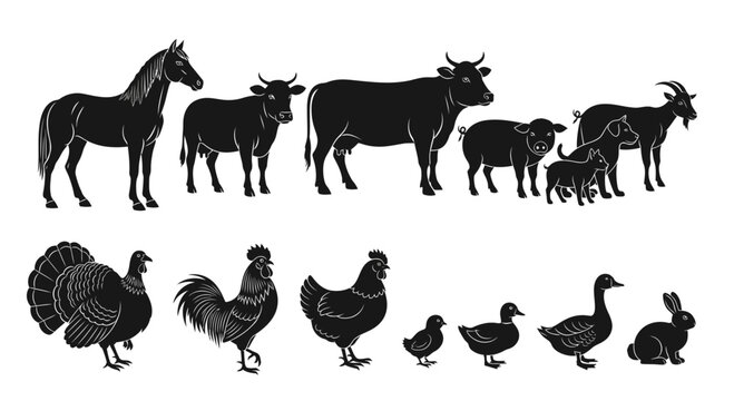 Set of silhouettes of various farm animals and poultry isolated on white background.
