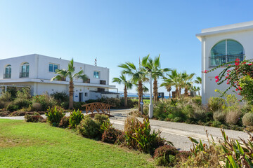 Obraz premium A sunny afternoon stroll through the tranquil coastal gardens with palm trees and charming architecture.