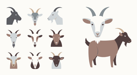 Fototapeta premium Goats in various colors and poses.