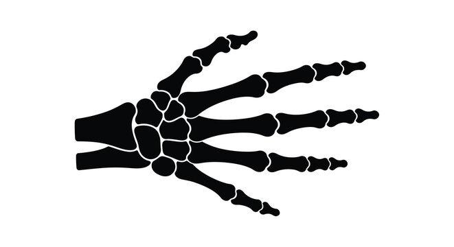 skeletal hand silhouette on white background high quality