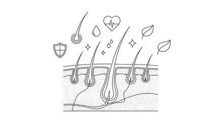 Obraz premium A minimalist black and white line art illustration of a cross-section of the scalp and hair follicles.