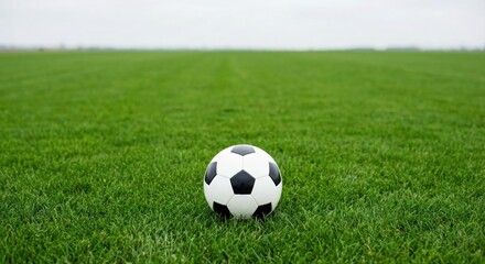 Naklejka premium Soccer ball sitting on grass in field