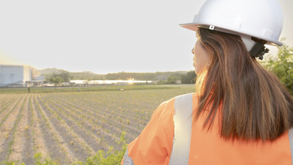 A worker stands in a field as the sun sets, wearing a safety helmet and jacket. The person observes the crops and surroundings, indicating work in agriculture © Happy Photo