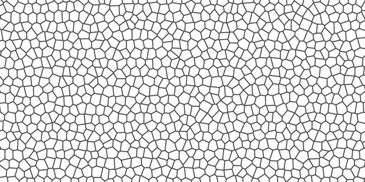 Black and white geometric mosaic pattern with a cellular or Voronoi structure. 
