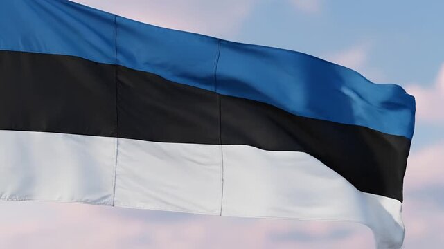Estonian Flag Waving Gracefully Against a Cloudy Sky.