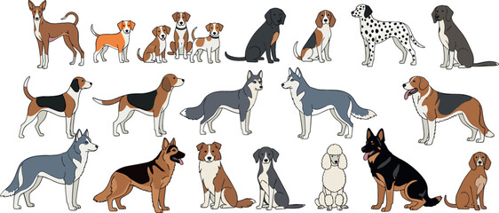 Dog Breeds Vector Set with Various Poses, Sizes, and Types for Animal Lovers, Pet Stores, and Dog Care Designs © MdMehedi