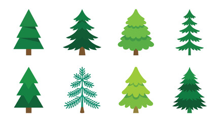 Obraz premium vector illustration of various evergreen trees flat design